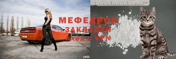 спиды Вяземский