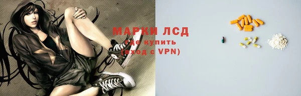 спиды Вяземский