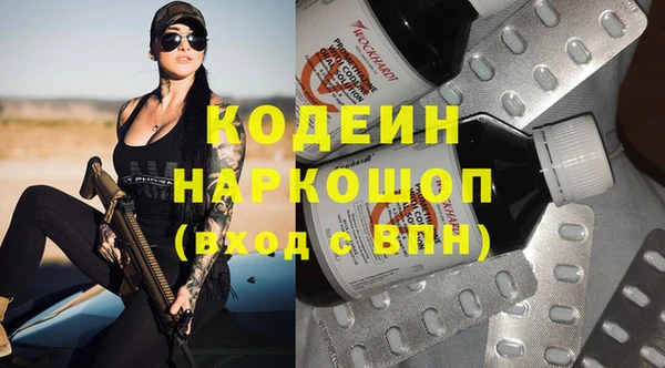 спиды Вяземский