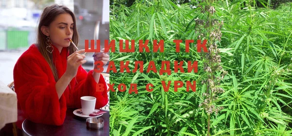 круглые Вязьма