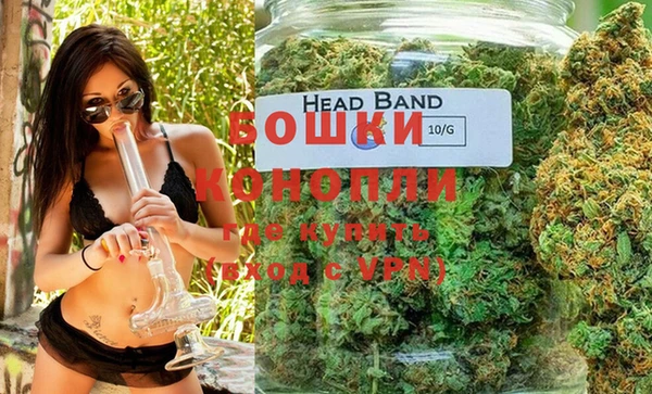 спиды Вяземский
