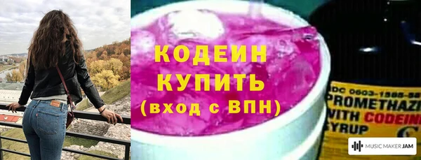 спиды Вяземский