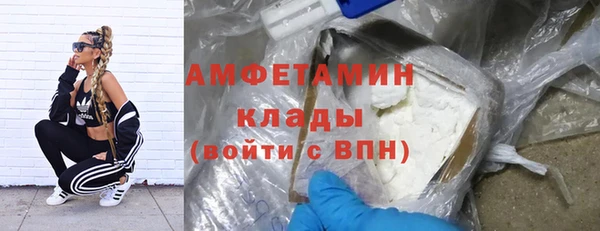 спиды Вяземский