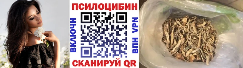 Галлюциногенные грибы Psilocybe  MEGA ТОР  Мещовск 